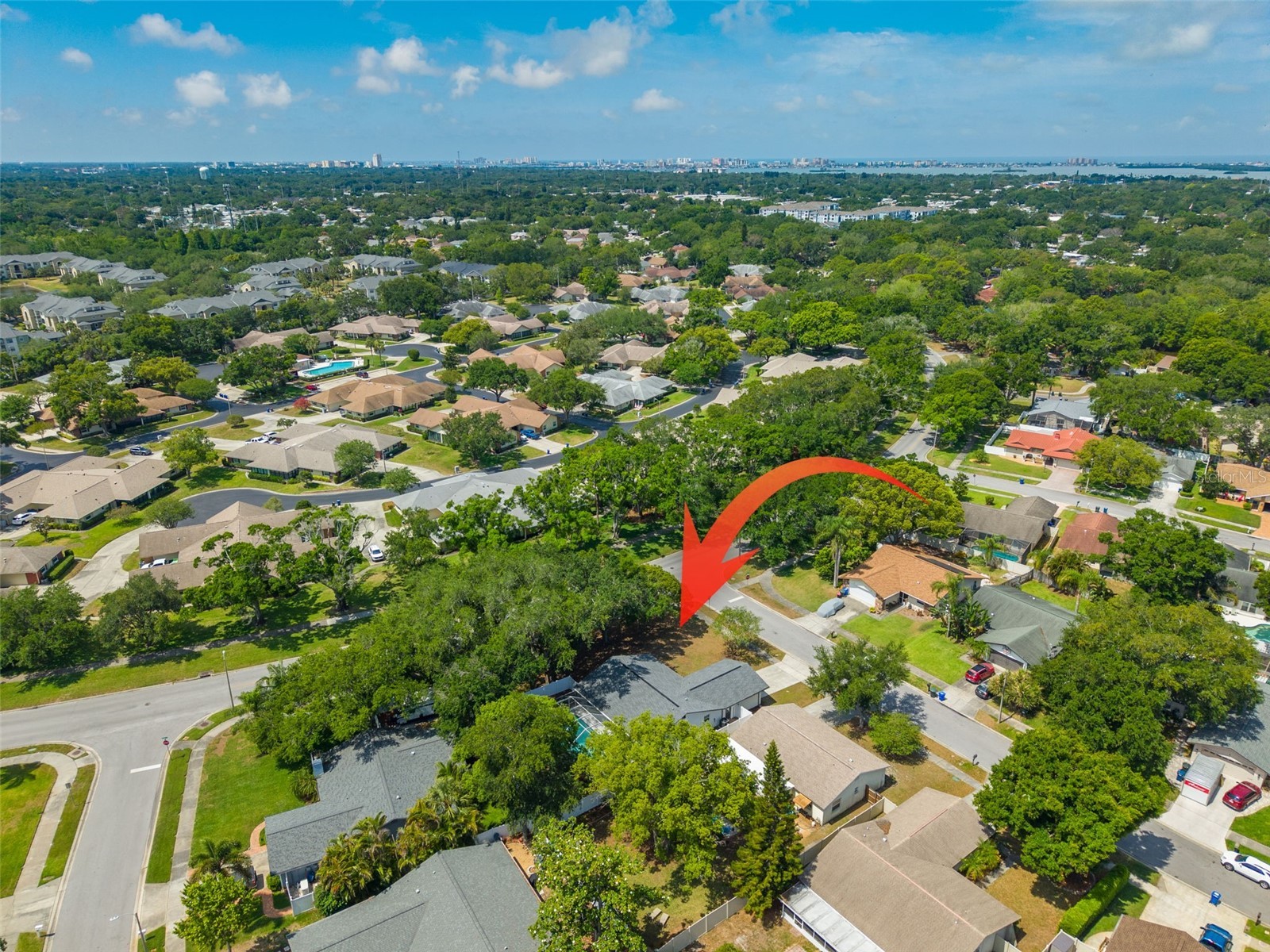 465 Belmist Court Dunedin FL 34698 TB8504317 image35