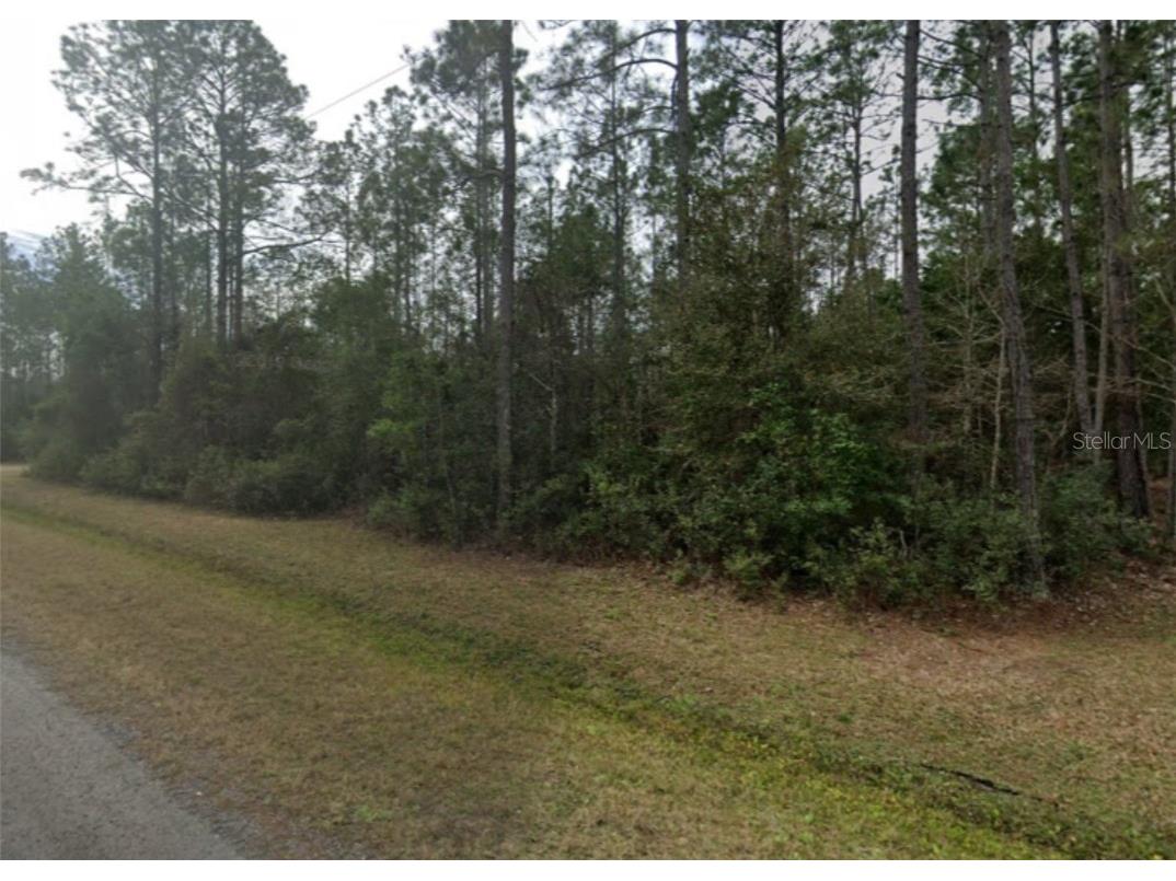 465 Dillon Avenue Hastings FL 32145 FC304461 image1