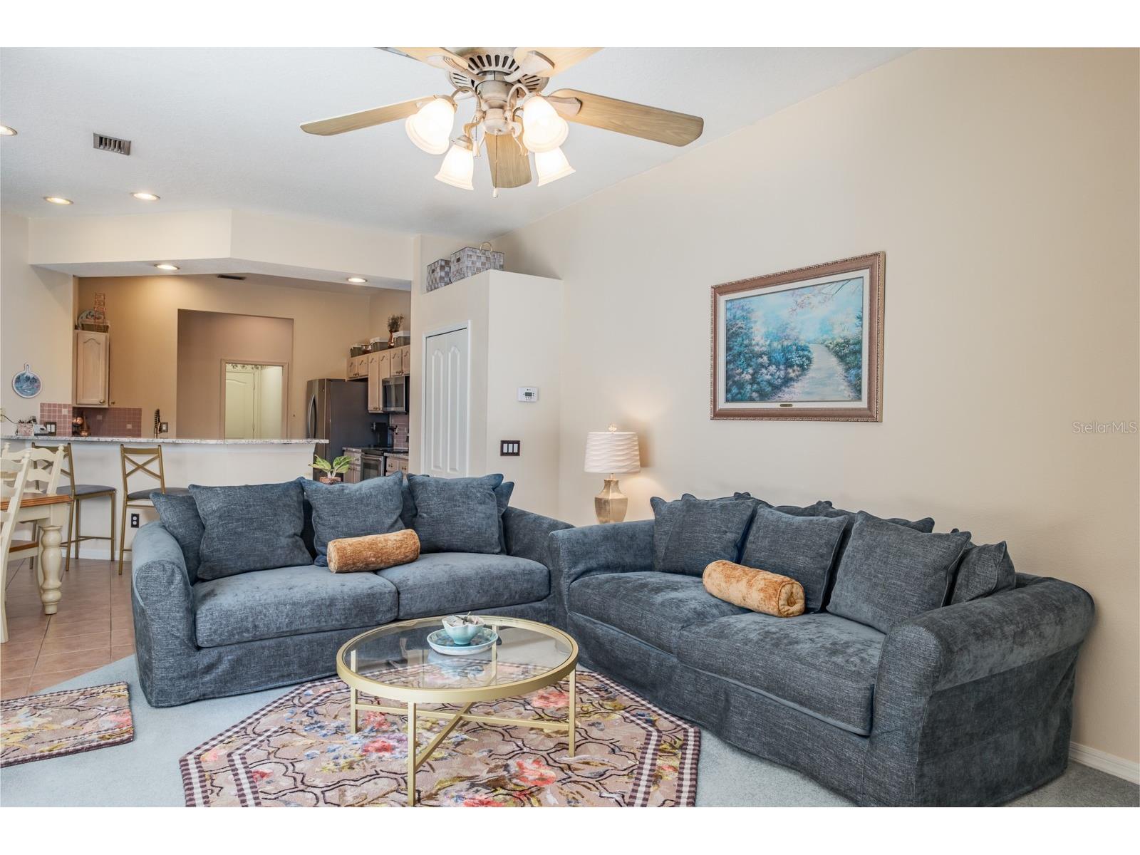 465 Knight Drive Tarpon Springs FL 34688 TB8491303 image26