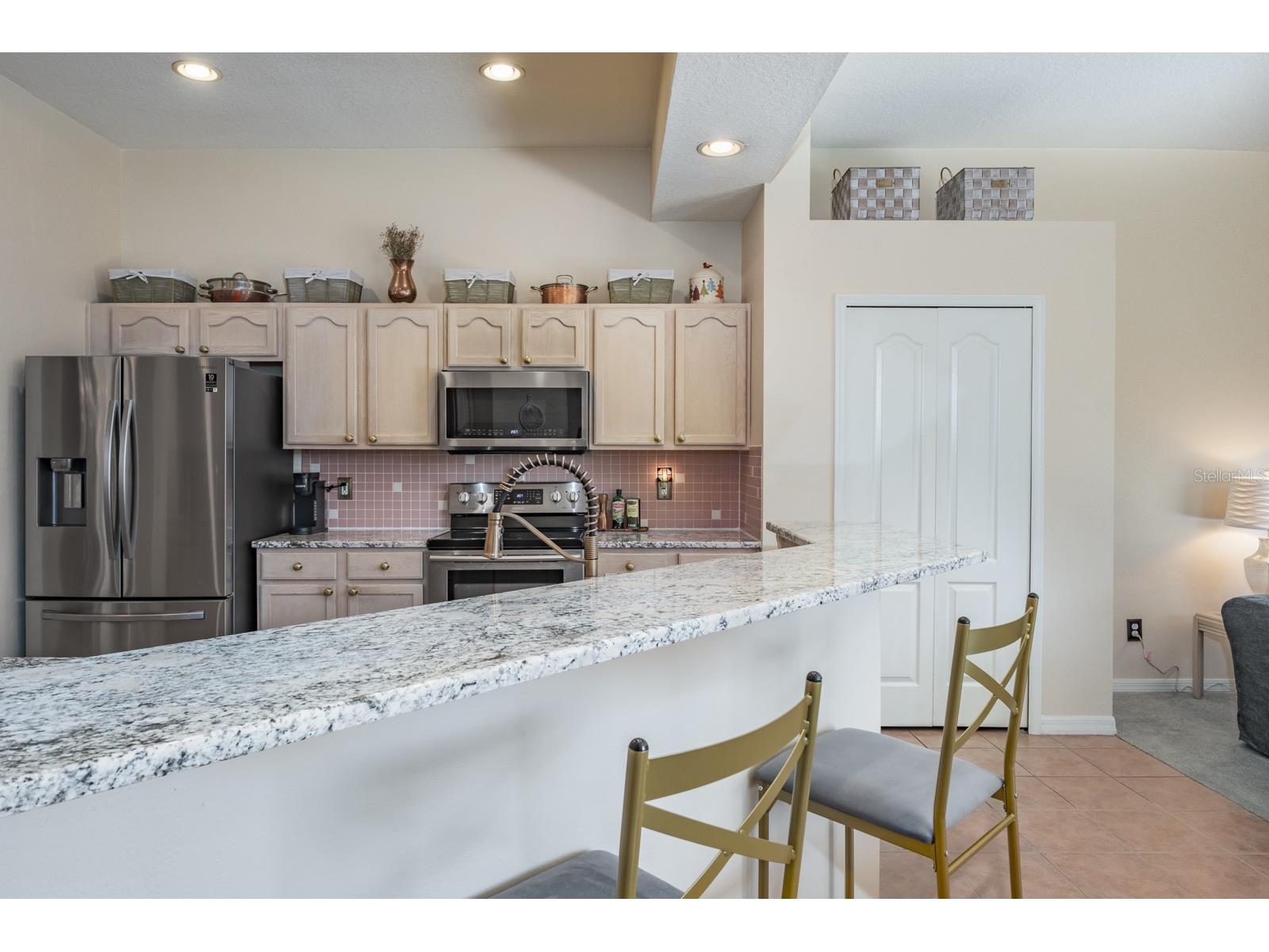 465 Knight Drive Tarpon Springs FL 34688 TB8491303 image29