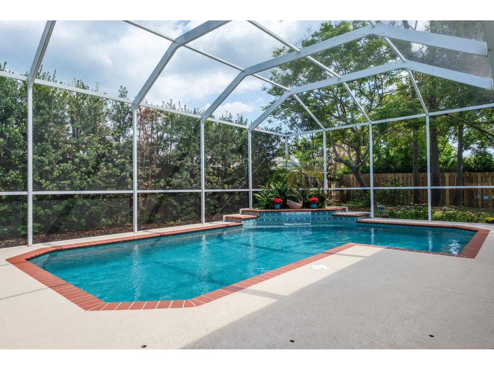 465 Knight Drive Tarpon Springs FL 34688 TB8491303 image36