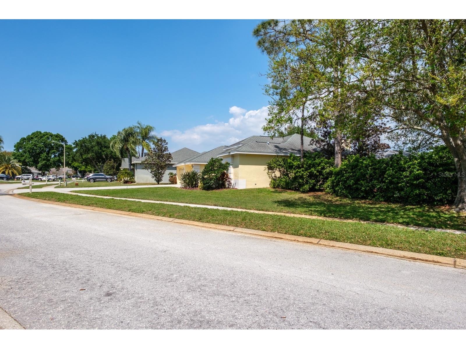 465 Knight Drive Tarpon Springs FL 34688 TB8491303 image4