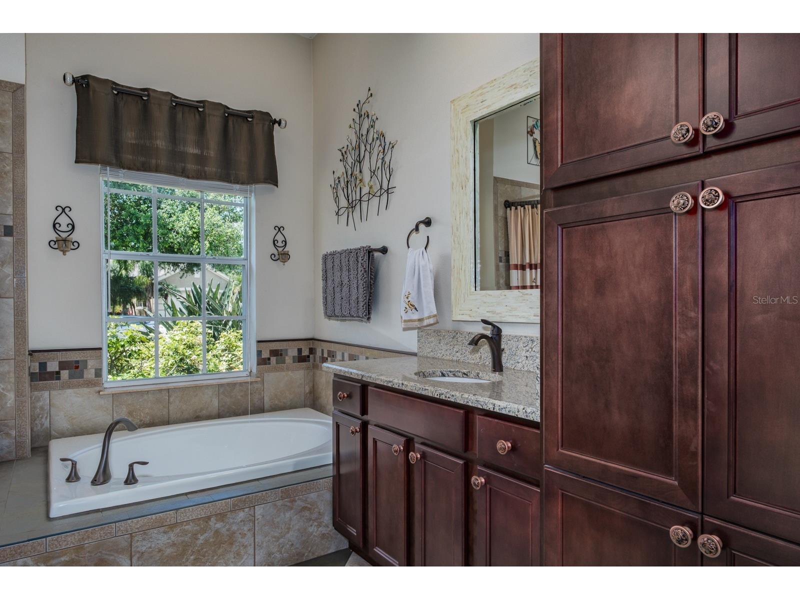 465 Knight Drive Tarpon Springs FL 34688 TB8491303 image42