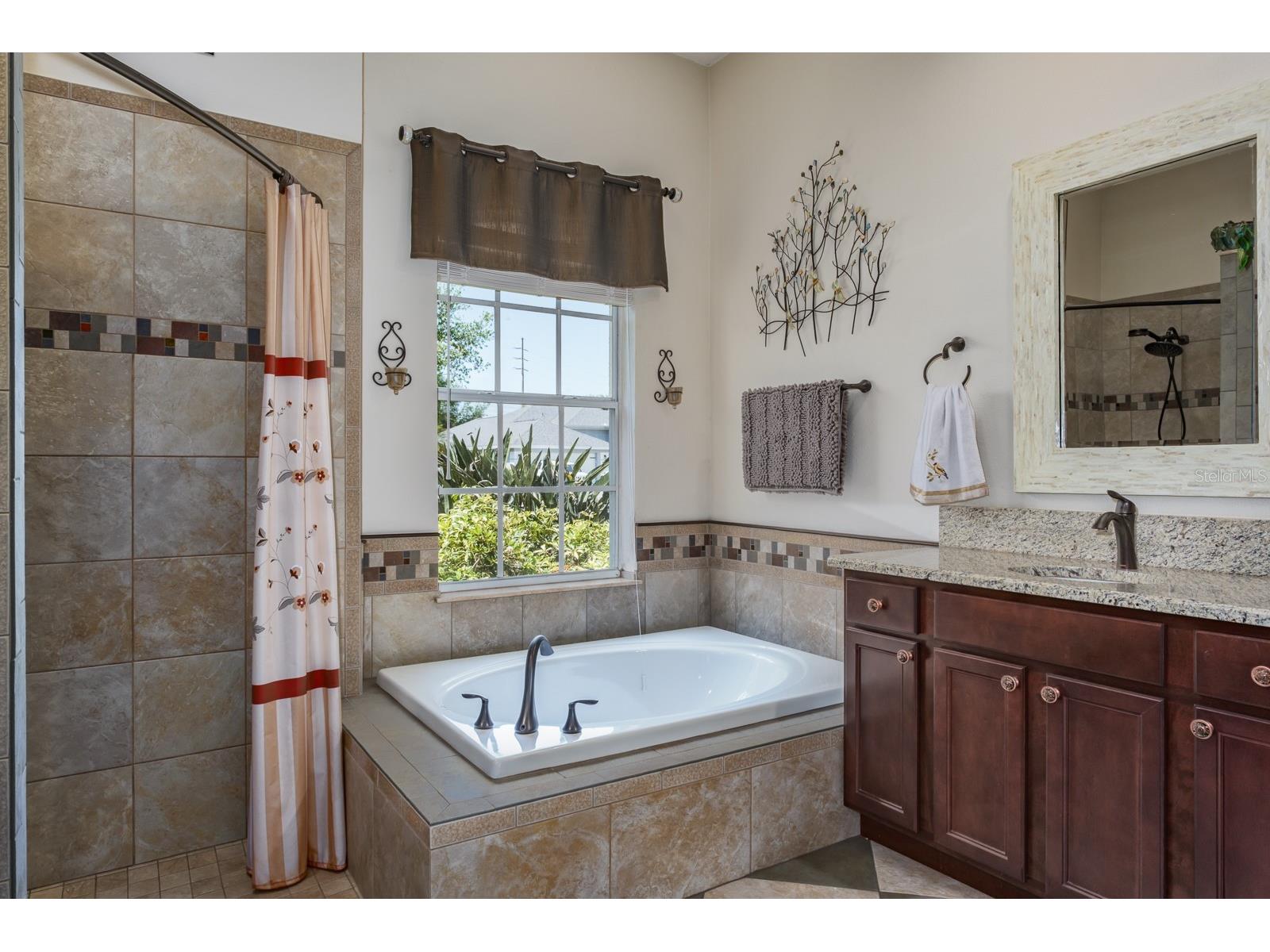 465 Knight Drive Tarpon Springs FL 34688 TB8491303 image43