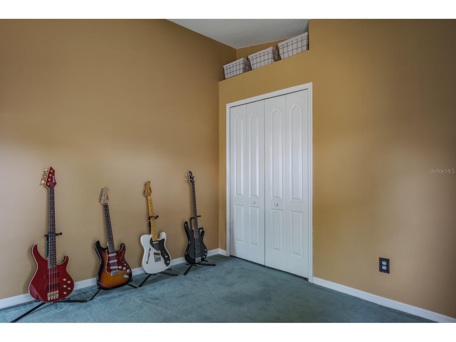 465 Knight Drive Tarpon Springs FL 34688 TB8491303 image56