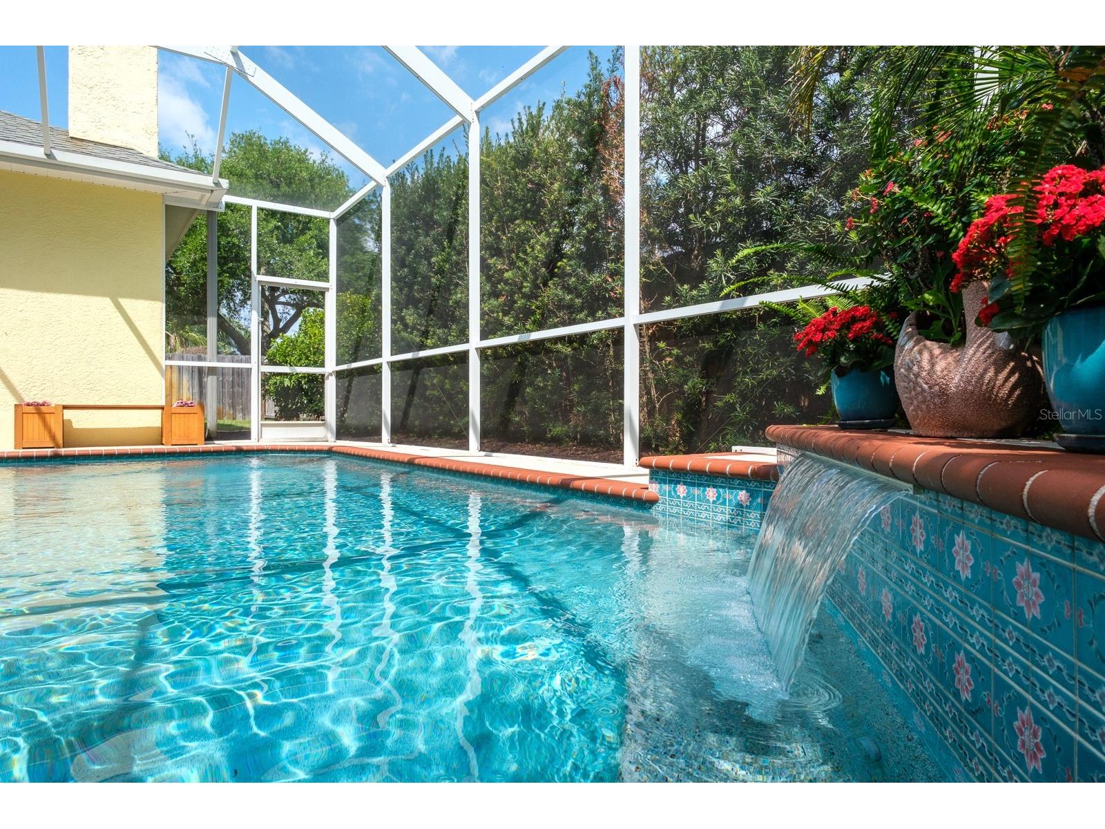 465 Knight Drive Tarpon Springs FL 34688 TB8491303 image61