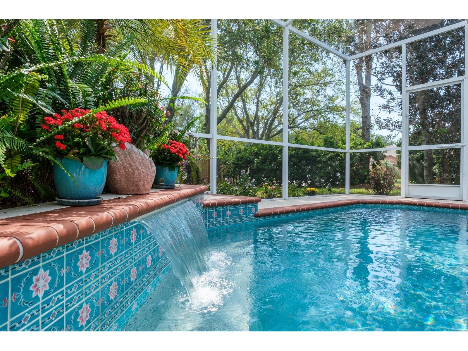 465 Knight Drive Tarpon Springs FL 34688 TB8491303 image62