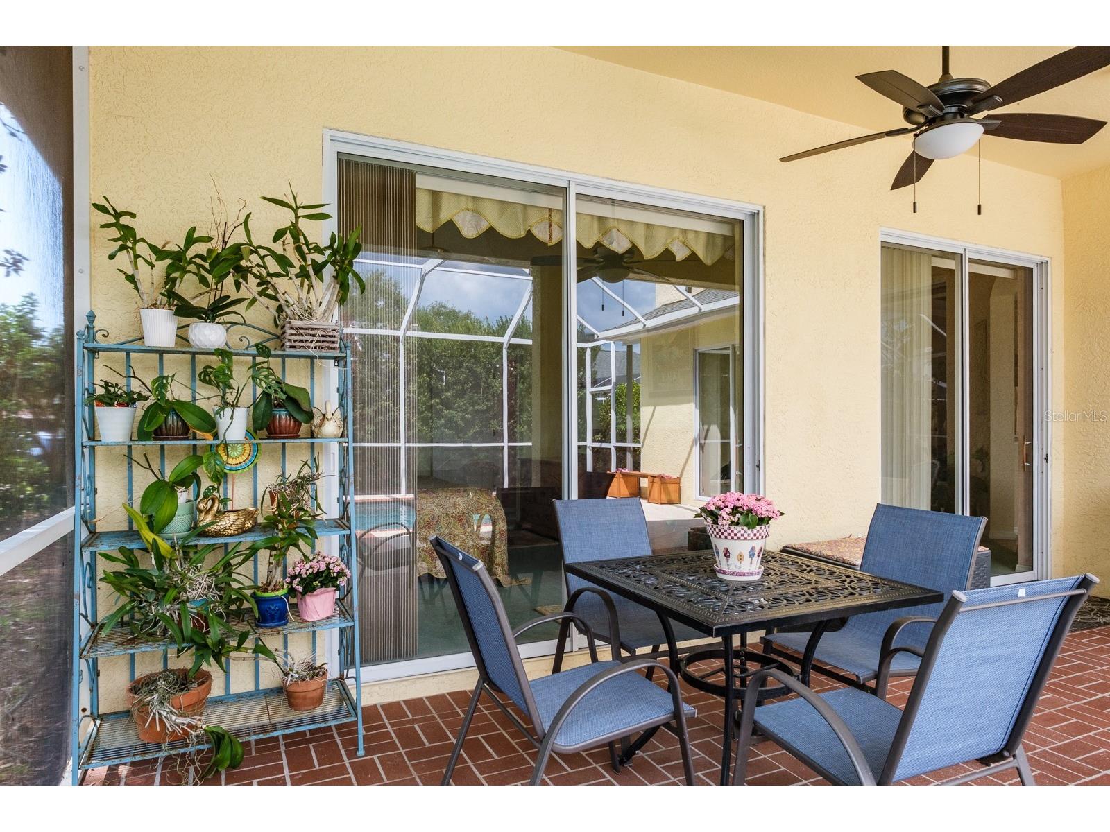 465 Knight Drive Tarpon Springs FL 34688 TB8491303 image64