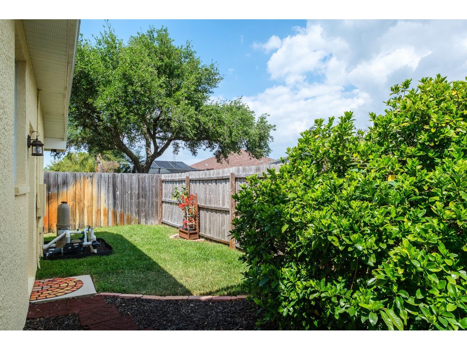 465 Knight Drive Tarpon Springs FL 34688 TB8491303 image71