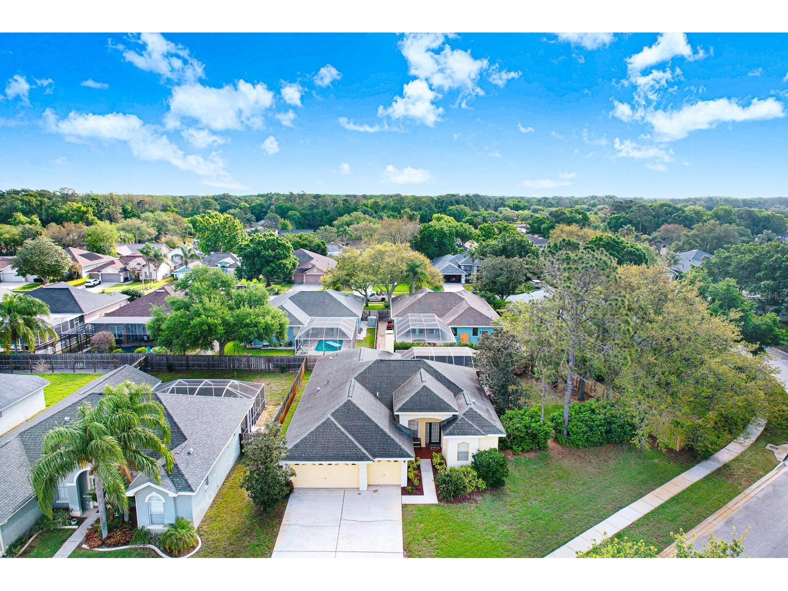 465 Knight Drive Tarpon Springs FL 34688 TB8491303 image75