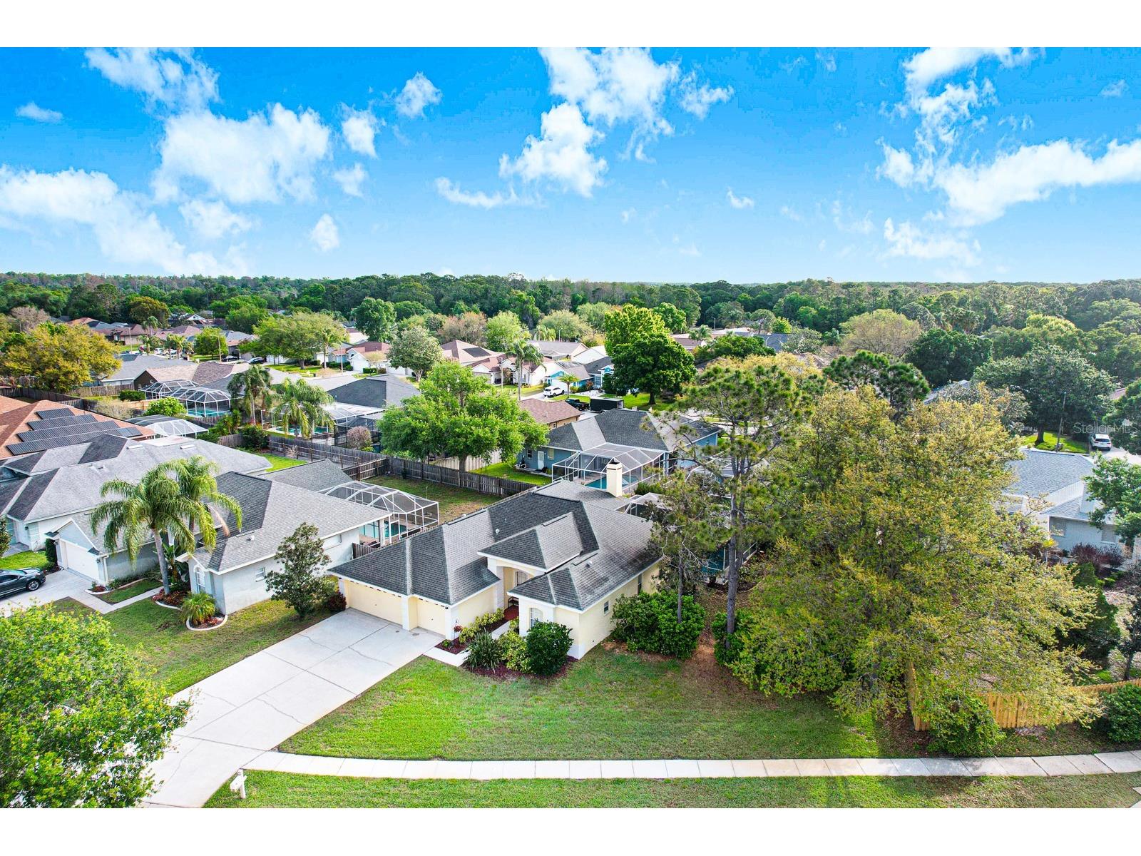 465 Knight Drive Tarpon Springs FL 34688 TB8491303 image76