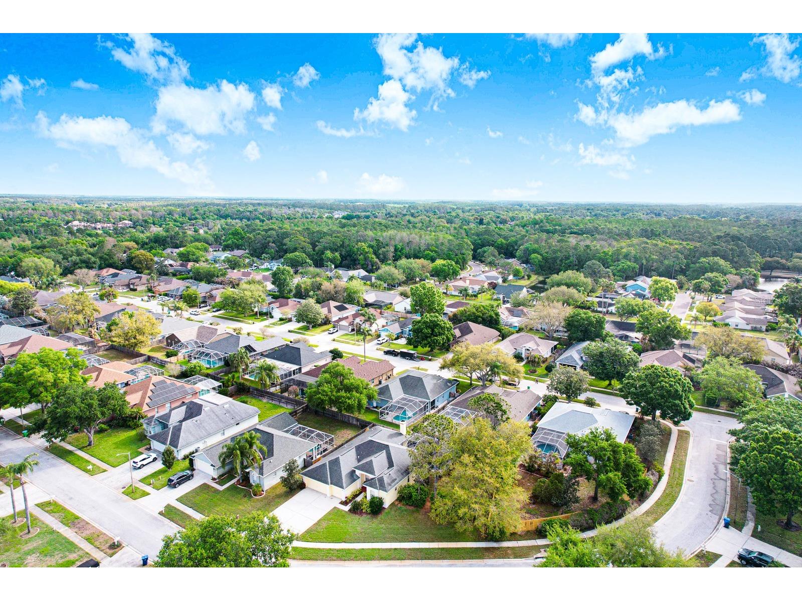 465 Knight Drive Tarpon Springs FL 34688 TB8491303 image77