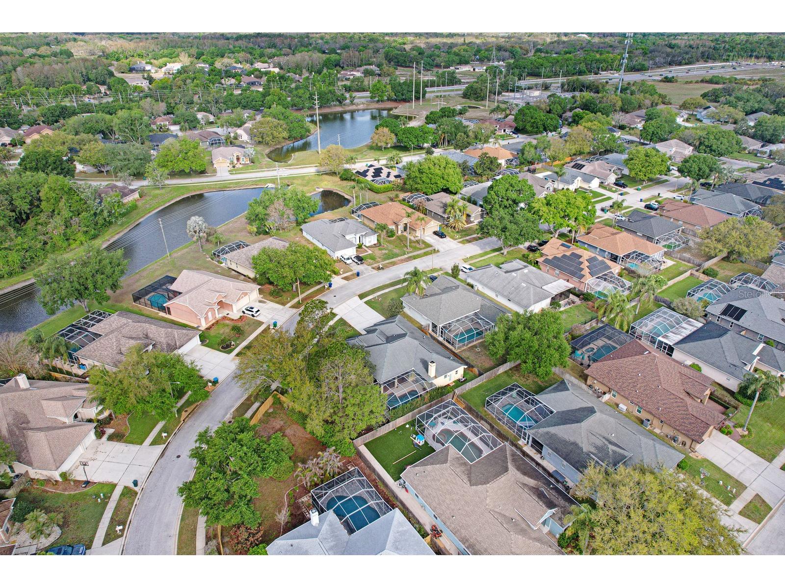 465 Knight Drive Tarpon Springs FL 34688 TB8491303 image81