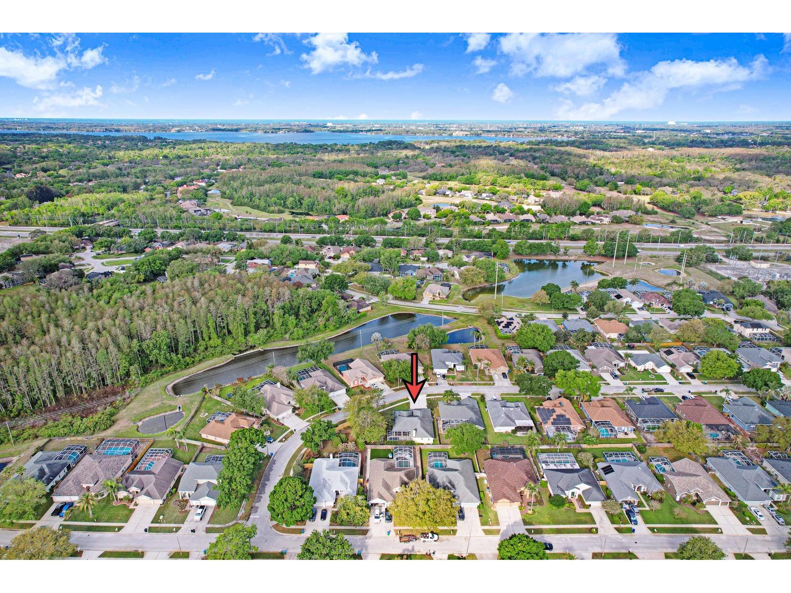 465 Knight Drive Tarpon Springs FL 34688 TB8491303 image82