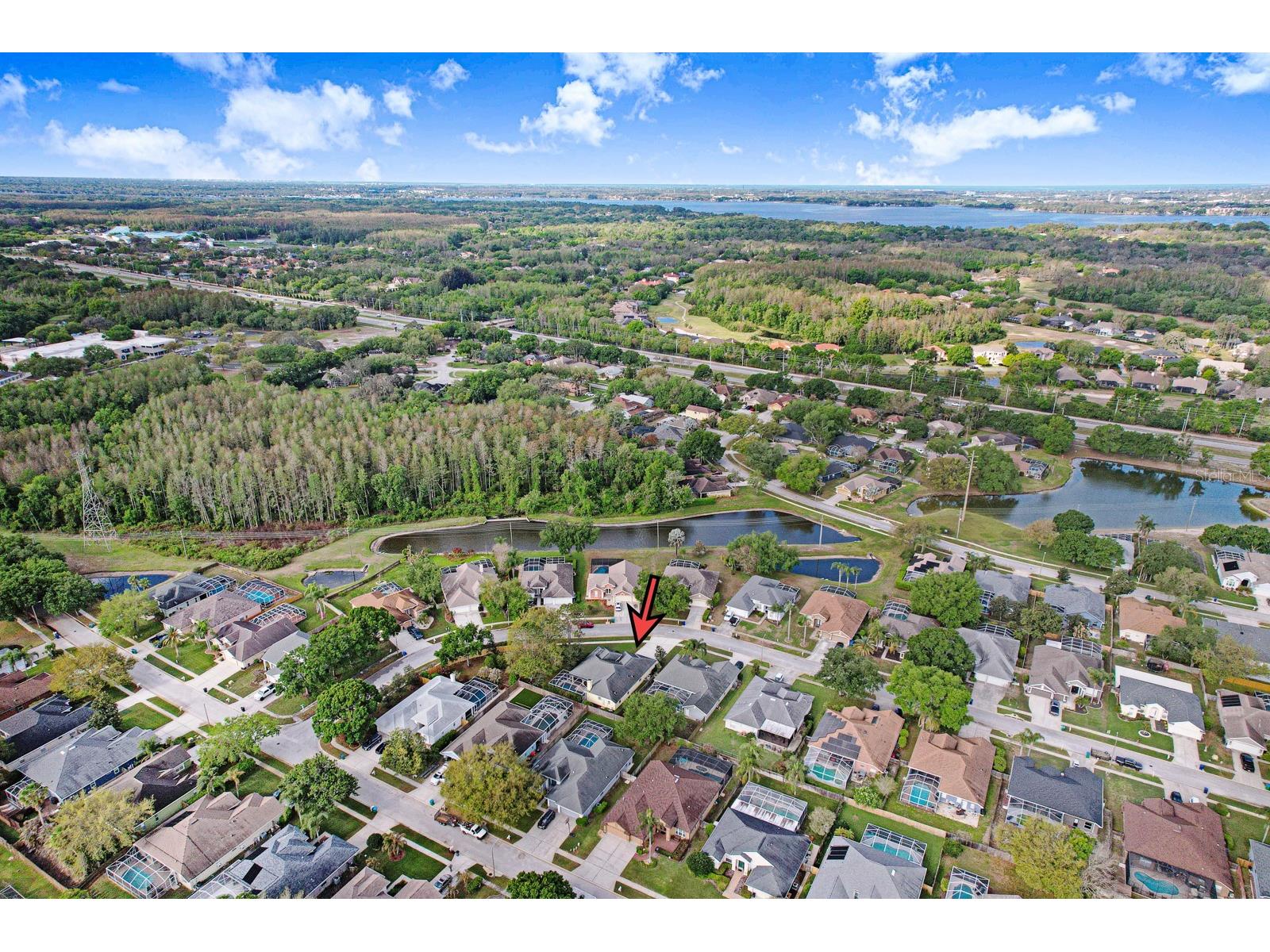 465 Knight Drive Tarpon Springs FL 34688 TB8491303 image83