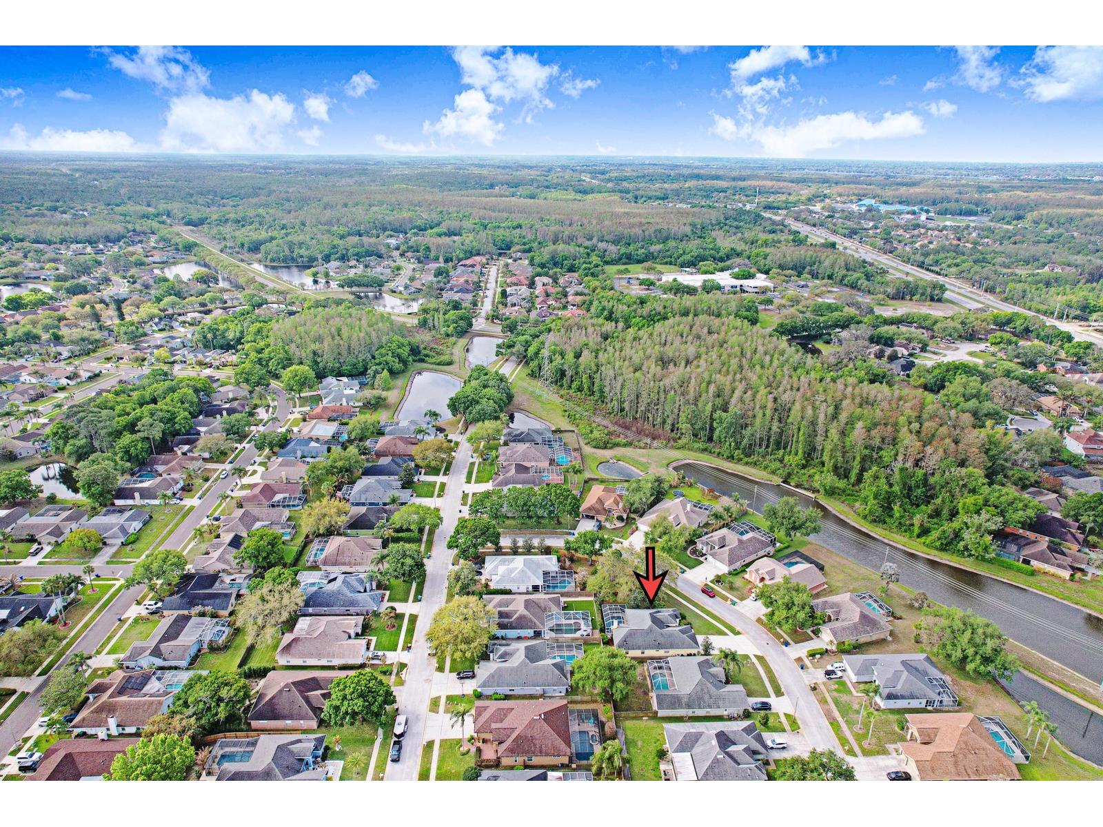 465 Knight Drive Tarpon Springs FL 34688 TB8491303 image84