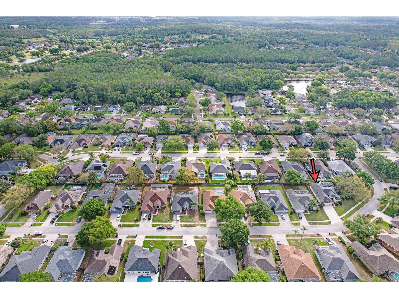 465 Knight Drive Tarpon Springs FL 34688 TB8491303 image86