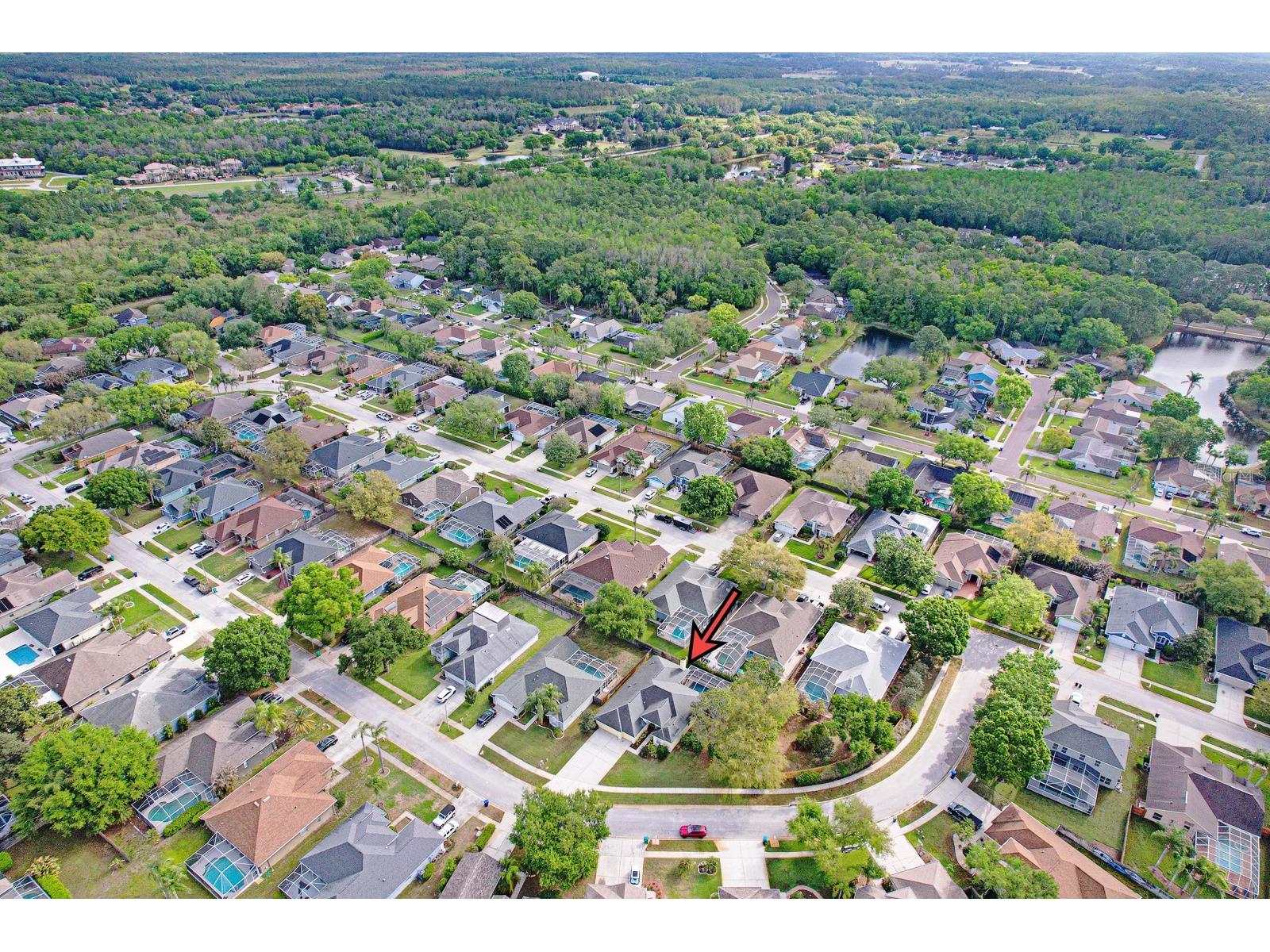 465 Knight Drive Tarpon Springs FL 34688 TB8491303 image87