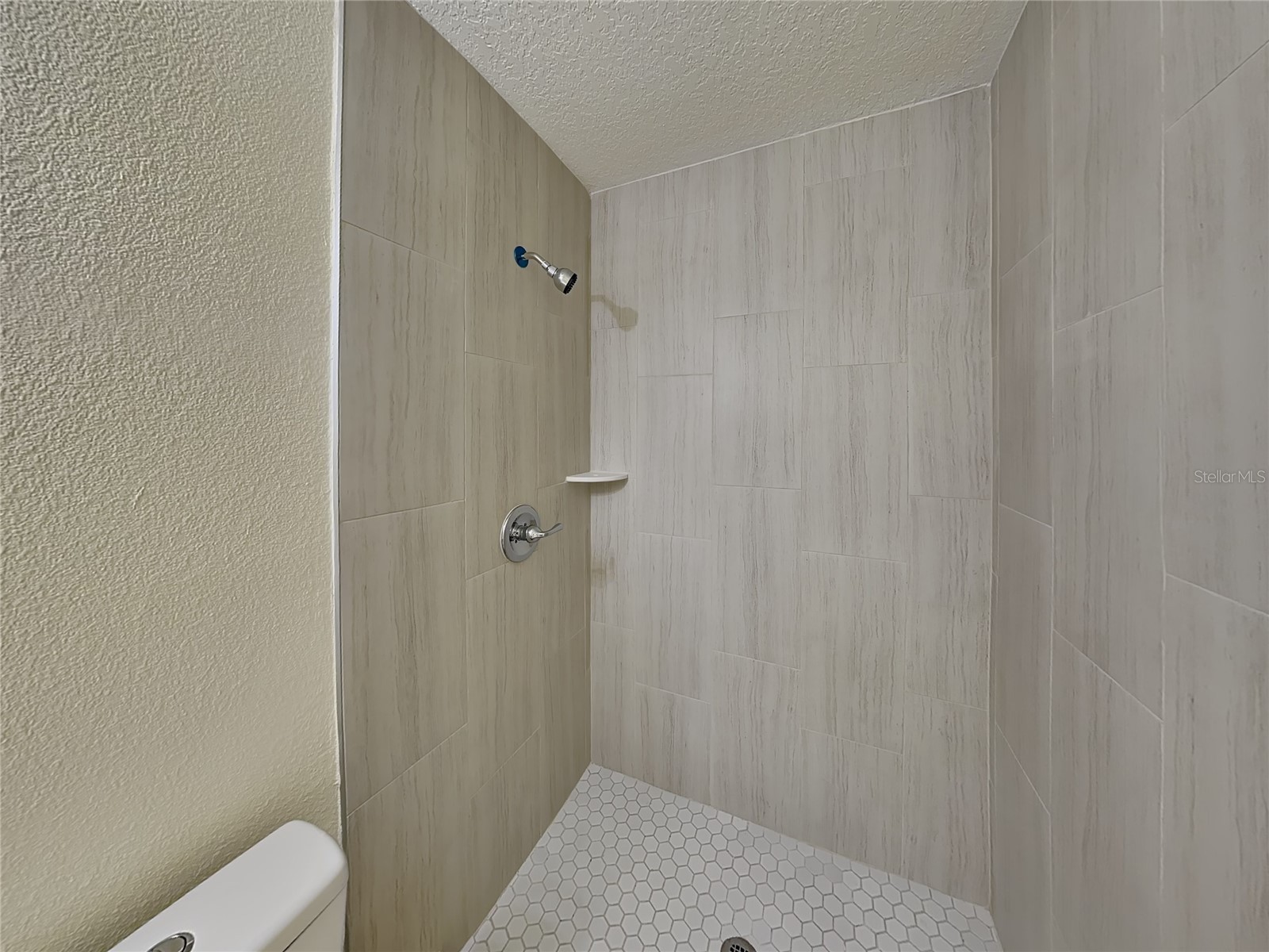 465 Oak Drive Tavares FL 32778 O6385365 image15