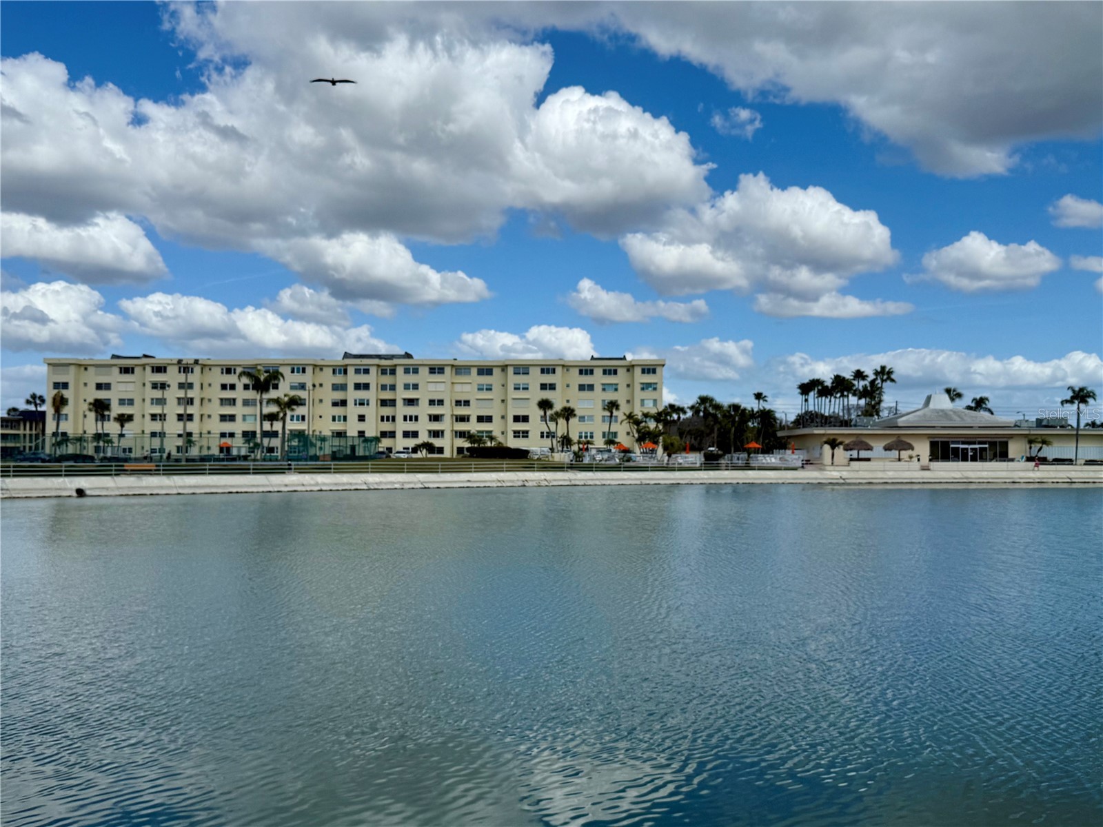 4650 Cove Circle #108 Saint Petersburg FL 33708 TB8477765 image31