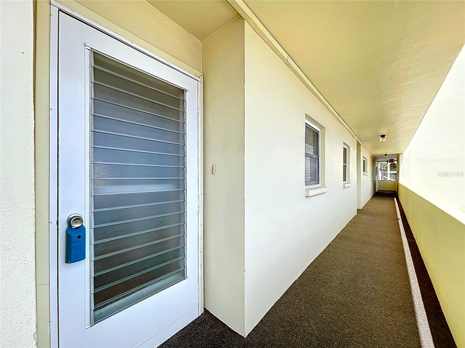 4650 Cove Circle #209 Saint Petersburg FL 33708 TB8485621 image2