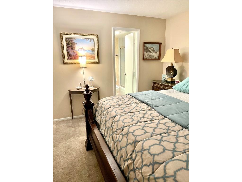 4650 Cove Circle #402 Saint Petersburg FL 33708 TB8443589 image20