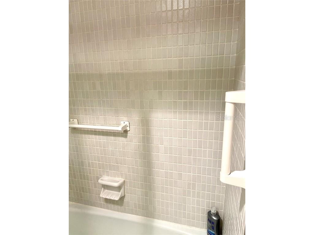 4650 Cove Circle #402 Saint Petersburg FL 33708 TB8443589 image25