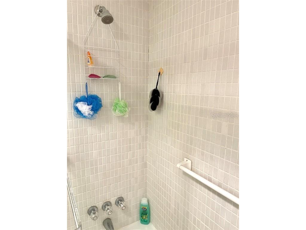 4650 Cove Circle #402 Saint Petersburg FL 33708 TB8443589 image26