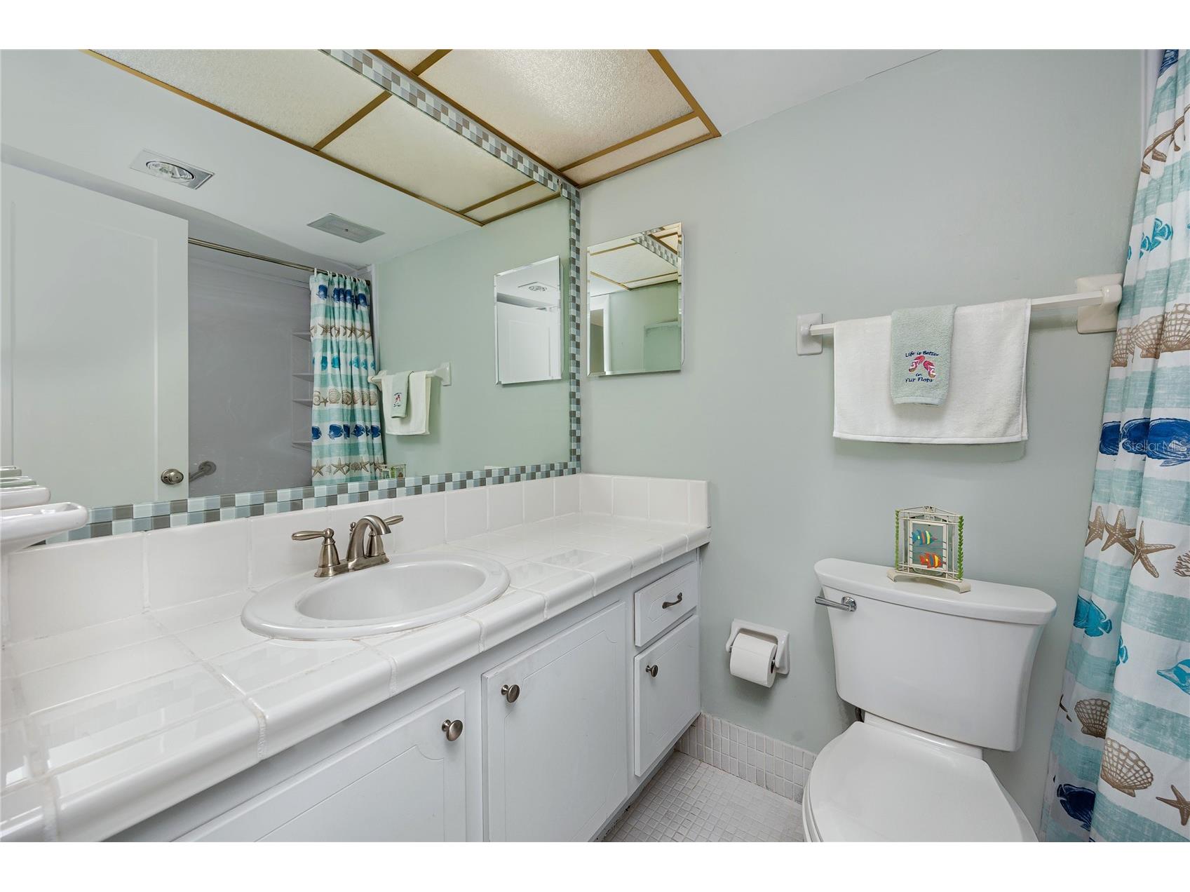 4650 Cove Circle #409 Saint Petersburg FL 33708 - BOCA CIEGA BAY TB8481390 image23