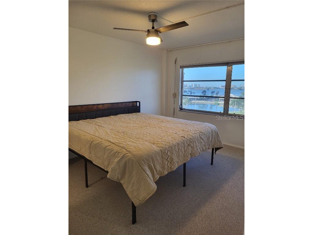 4650 Cove Circle #611 Saint Petersburg FL 33708 TB8440790 image8