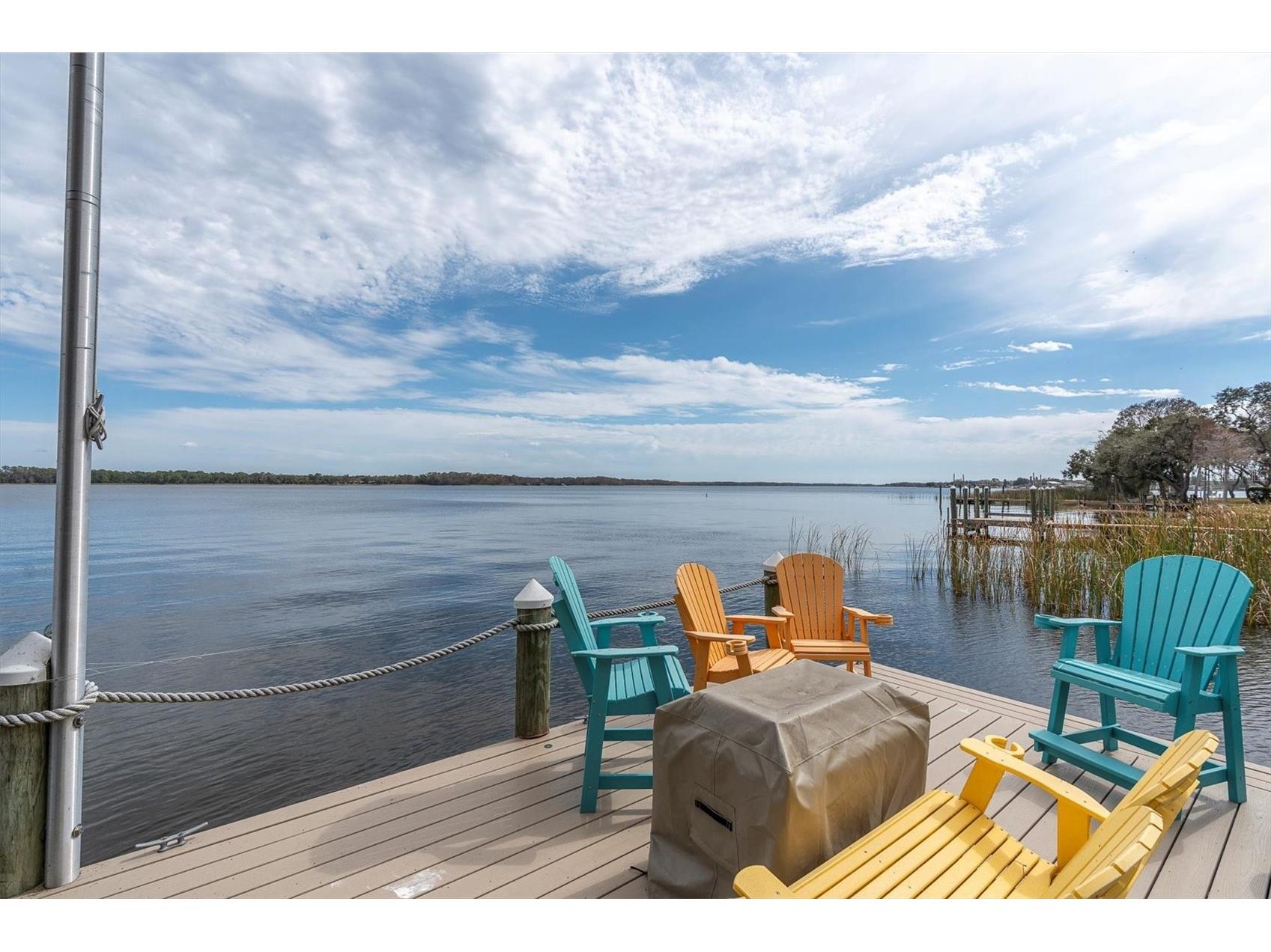 4650 Ridge View Road Palm Harbor FL 34684 - LAKE TARPON TB8482036 image95