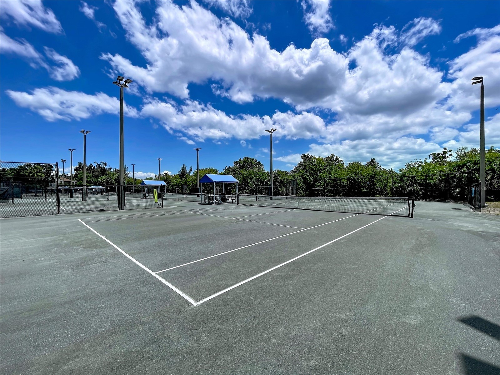 4651 1st Street NE #311 Saint Petersburg FL 33703 TB8513553 image40