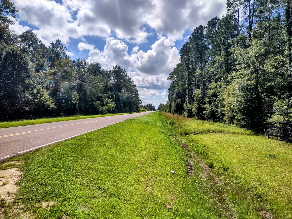 4651 NE 108th Place Chiefland FL 32626 OM705616 image11