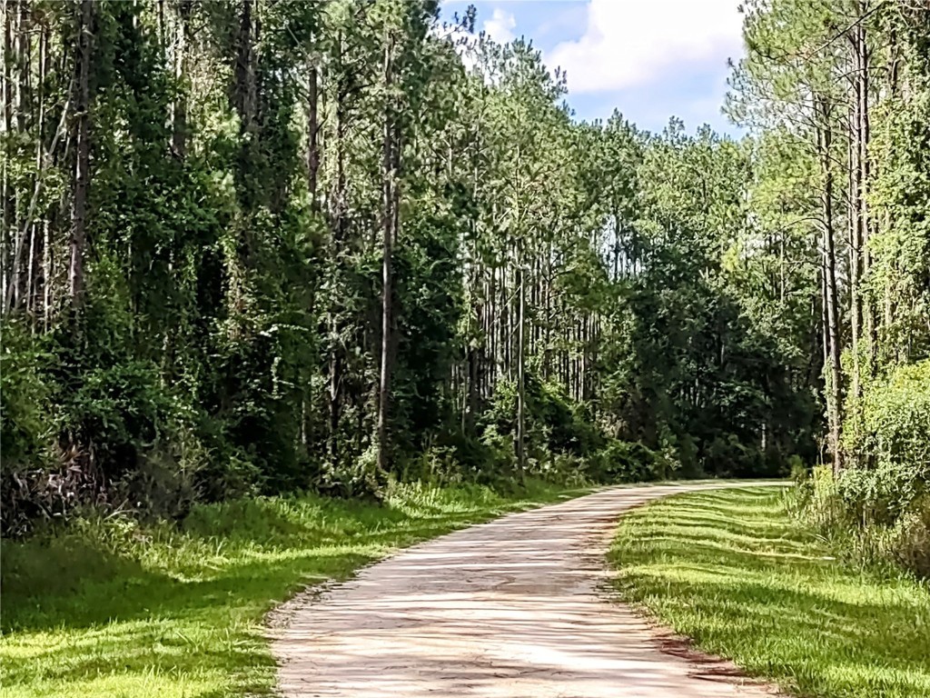 4651 NE 108th Place Chiefland FL 32626 OM705616 image8