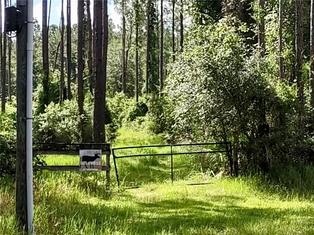 4651 NE 108th Place Chiefland FL 32626 OM705616 image9