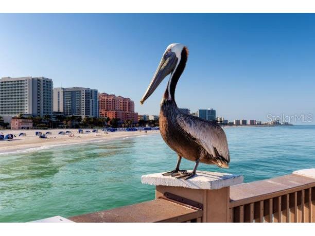4651 S Atlantic Avenue #3020 Ponce Inlet FL 32127 V4949141 image2