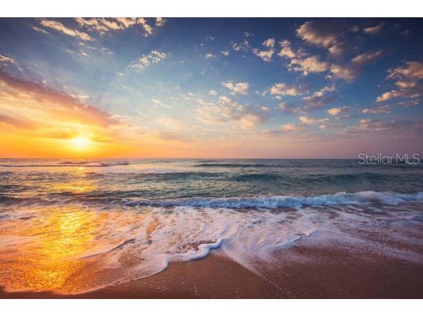 4651 S Atlantic Avenue #3020 Ponce Inlet FL 32127 V4949141 image29