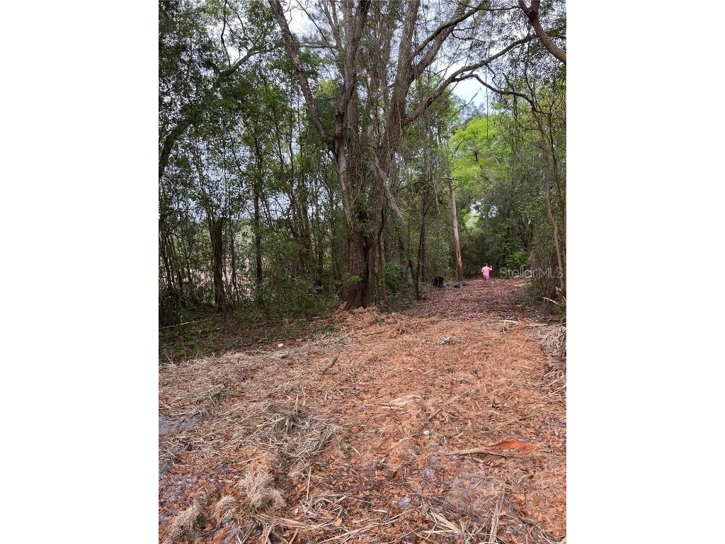 4625-4651 W Kelly Park Road Apopka FL 32712 O6302395 image10