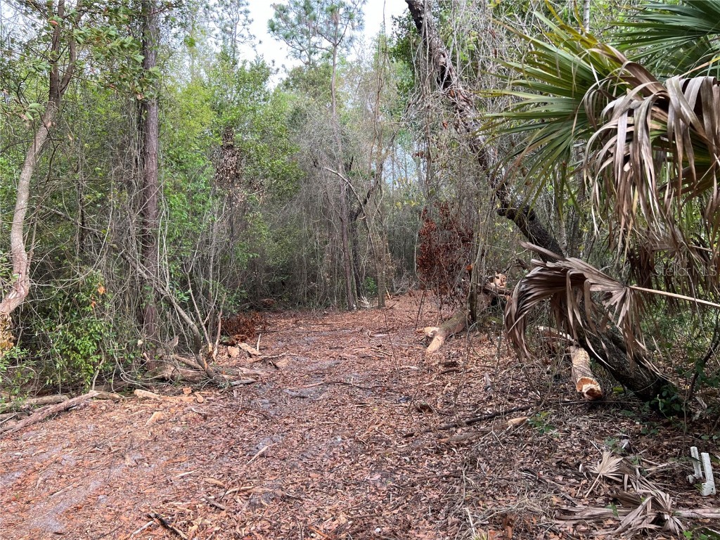 4625-4651 W Kelly Park Road Apopka FL 32712 O6302395 image11