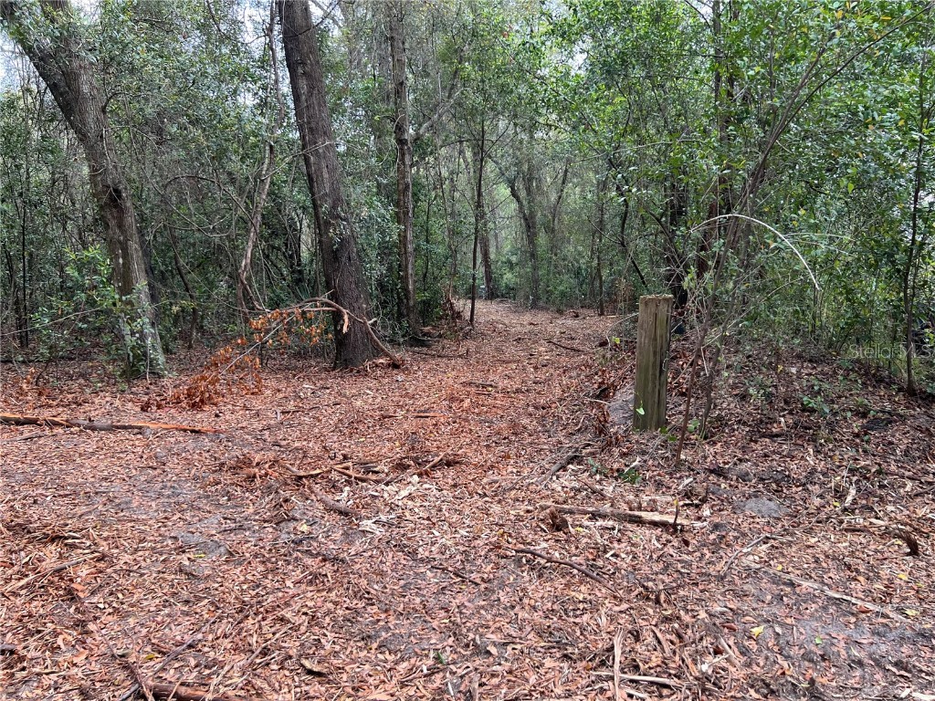 4625-4651 W Kelly Park Road Apopka FL 32712 O6302395 image12