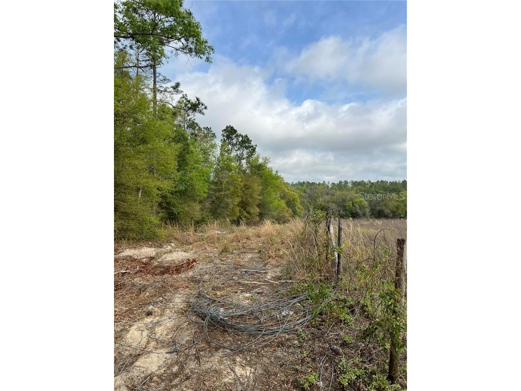 4625-4651 W Kelly Park Road Apopka FL 32712 O6302395 image13