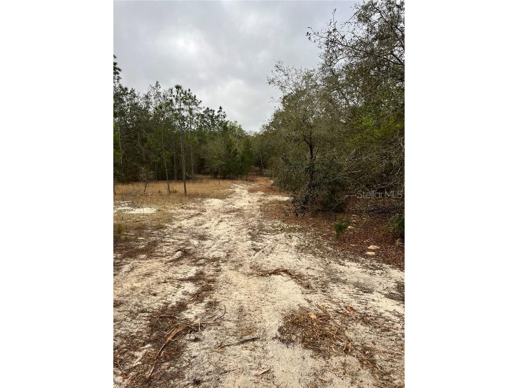 4625-4651 W Kelly Park Road Apopka FL 32712 O6302395 image3