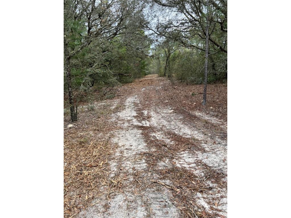 4625-4651 W Kelly Park Road Apopka FL 32712 O6302395 image4