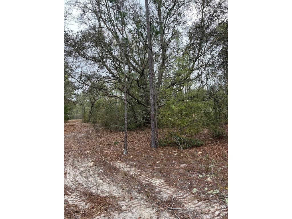 4625-4651 W Kelly Park Road Apopka FL 32712 O6302395 image5