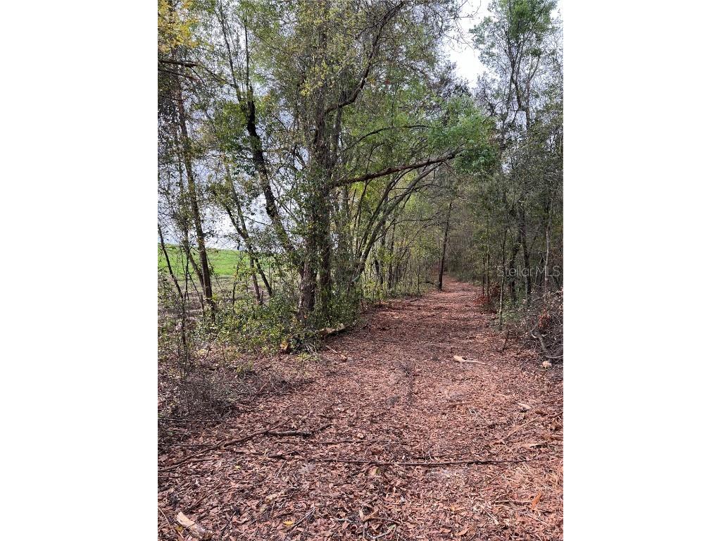 4625-4651 W Kelly Park Road Apopka FL 32712 O6302395 image8