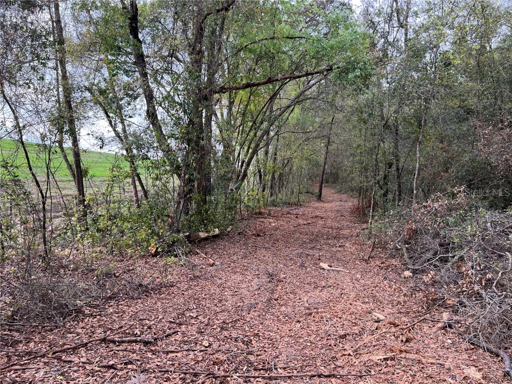 4625-4651 W Kelly Park Road Apopka FL 32712 O6302395 image9