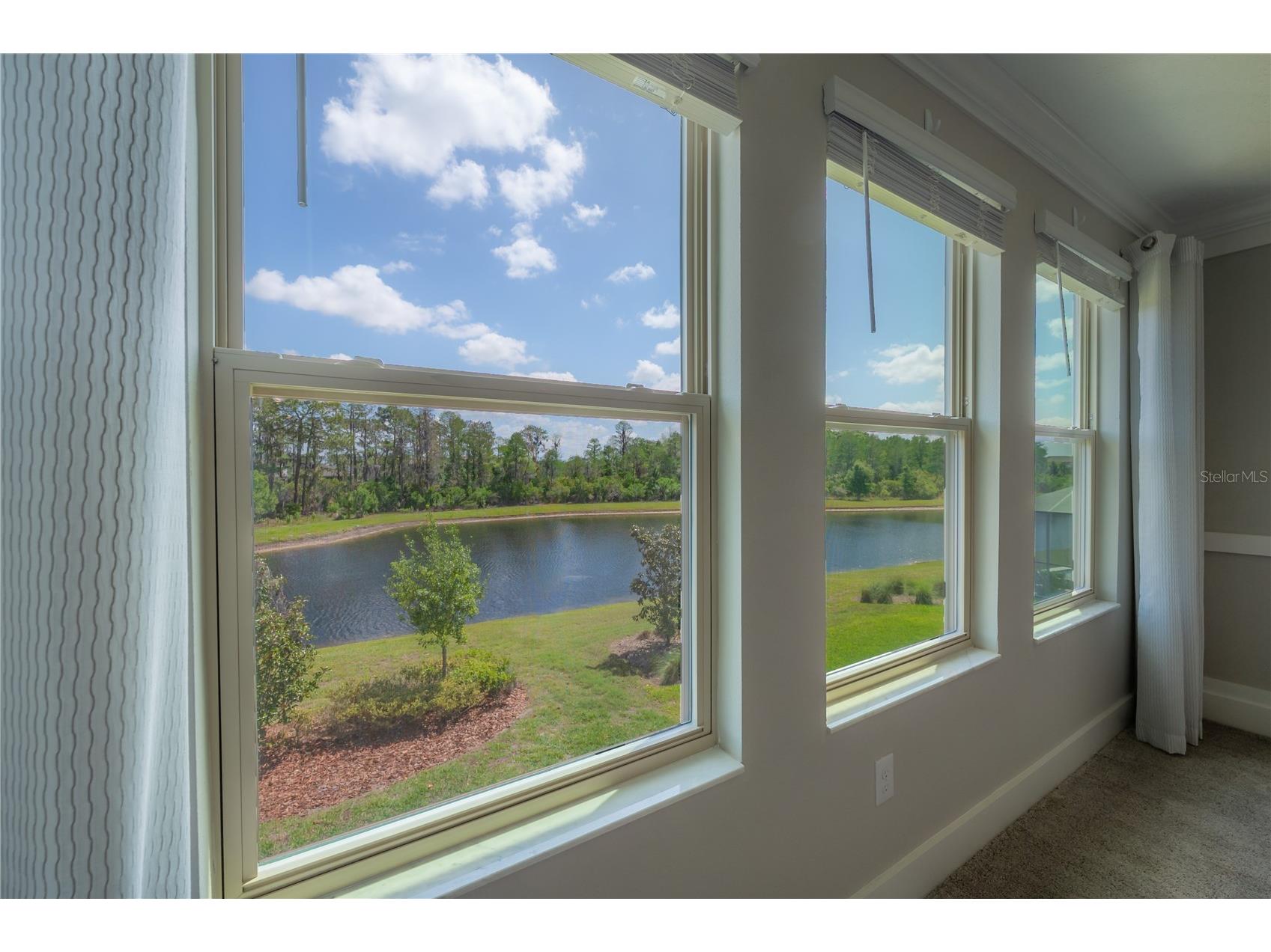 4652 Ballantrae Boulevard Land O Lakes FL 34638 TB8493285 image13