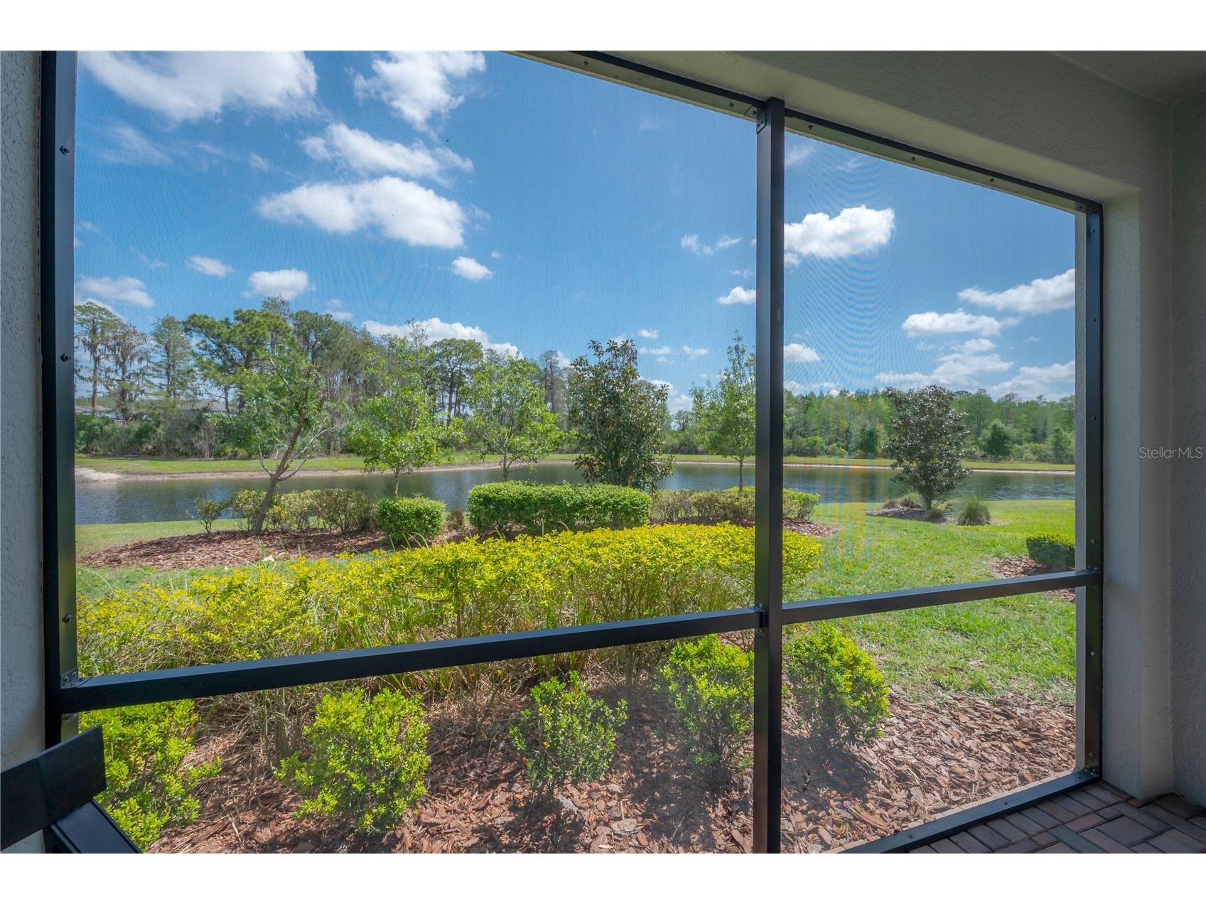 4652 Ballantrae Boulevard Land O Lakes FL 34638 TB8493285 image33