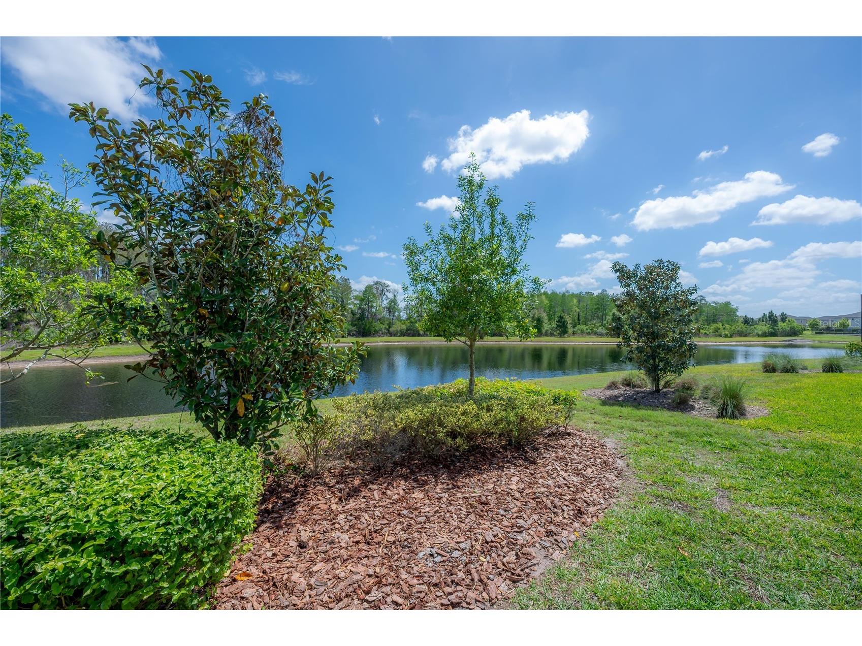 4652 Ballantrae Boulevard Land O Lakes FL 34638 TB8493285 image35
