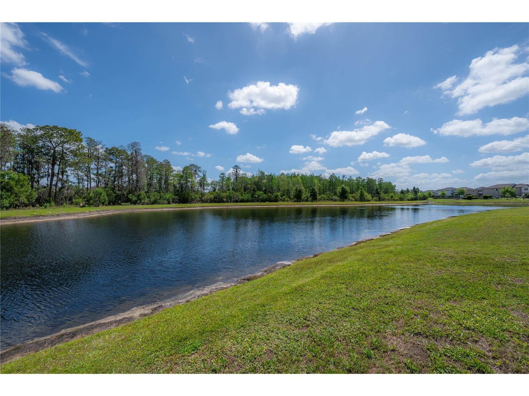 4652 Ballantrae Boulevard Land O Lakes FL 34638 TB8493285 image36
